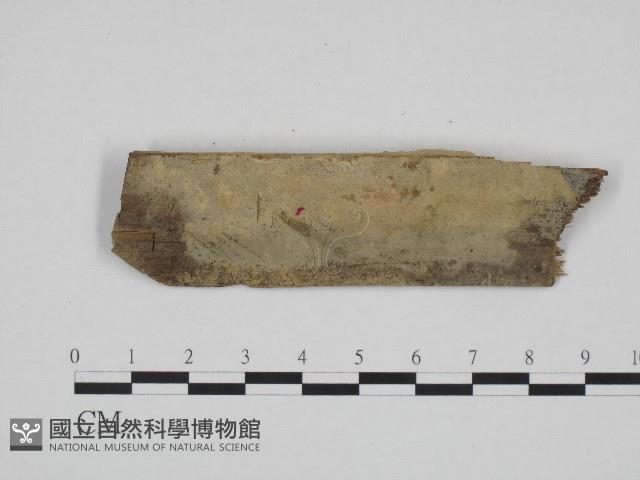 登錄號:F0004203藏品圖，第1張