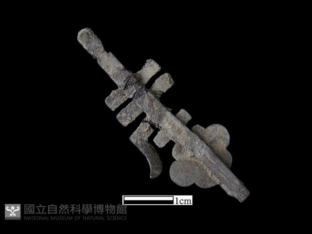 飾品藏品圖，第1張