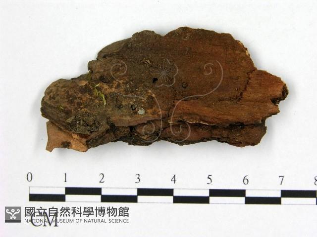 登錄號:F0008103藏品圖，第1張