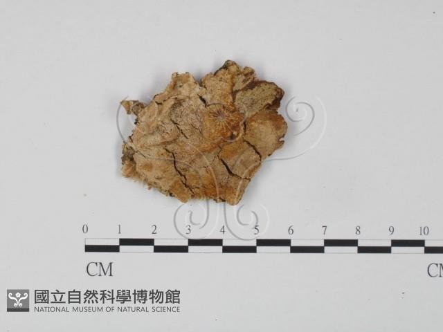 登錄號:F0007103藏品圖，第1張
