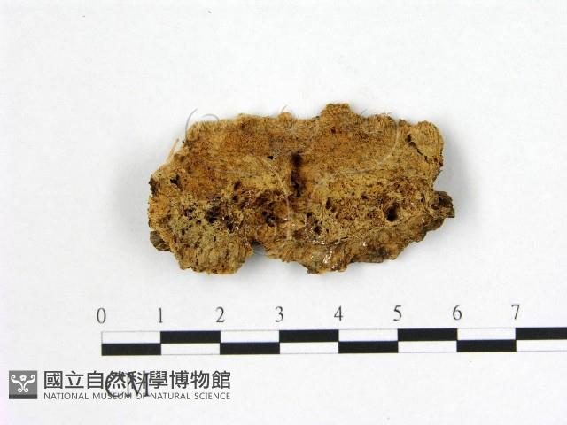 登錄號:F0007003藏品圖，第1張