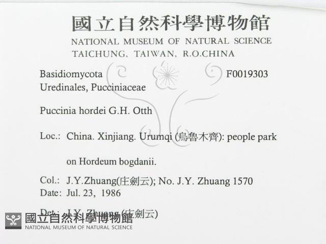 登錄號:F0019303藏品圖，第3張