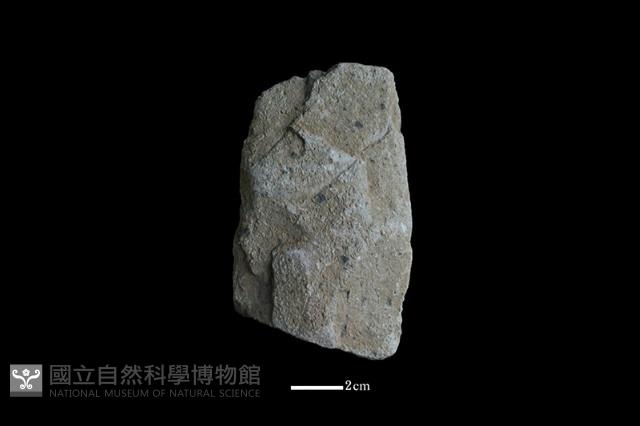 斧鋤形器藏品圖，第1張