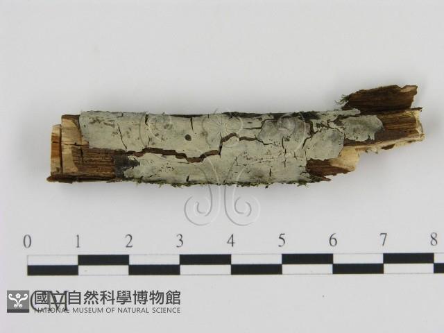 登錄號:F0009113藏品圖，第1張