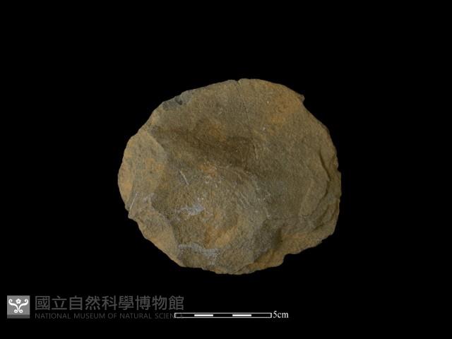 打製石器藏品圖，第1張