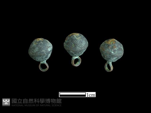 Accession Number:BK-CU013 Collection Image, Figure 2, Total 3 Figures