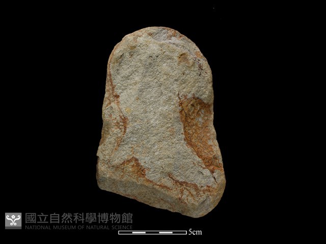 斧鋤形器藏品圖，第2張