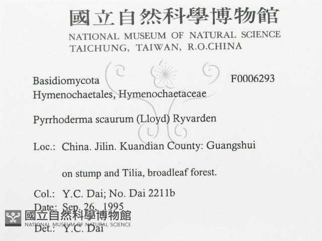 登錄號:F0006293藏品圖，第3張