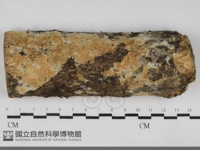 登錄號:F0032293藏品圖，第1張