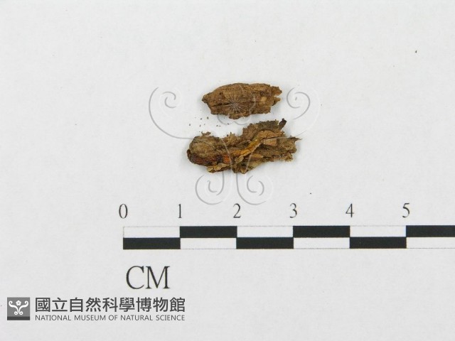 登錄號:F0007293藏品圖，第1張