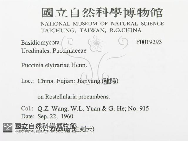 登錄號:F0019293藏品圖，第3張
