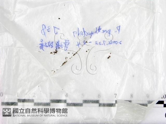 登錄號:F0016893藏品圖，第1張