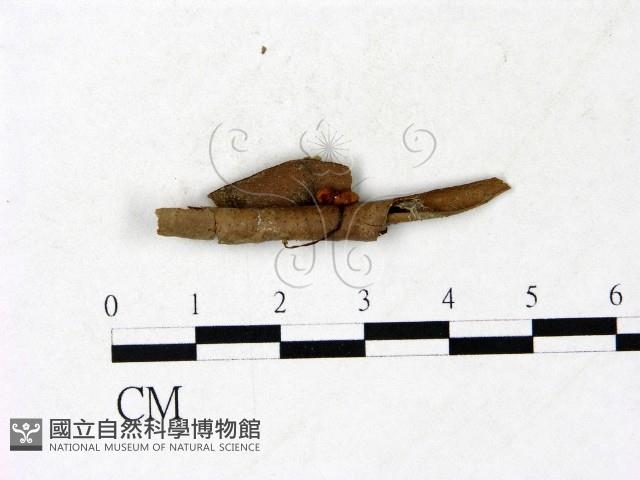 登錄號:F0022893藏品圖，第1張