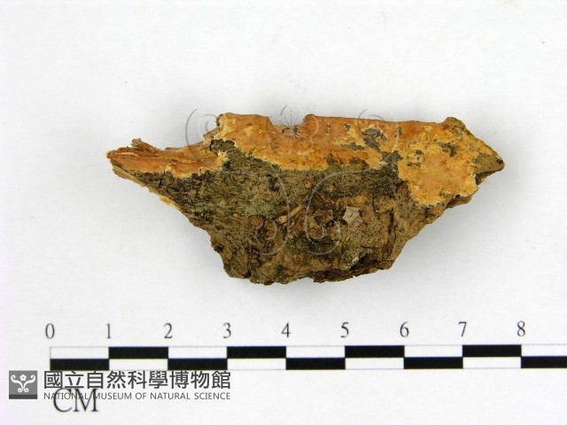 登錄號:F0002893藏品圖，第1張