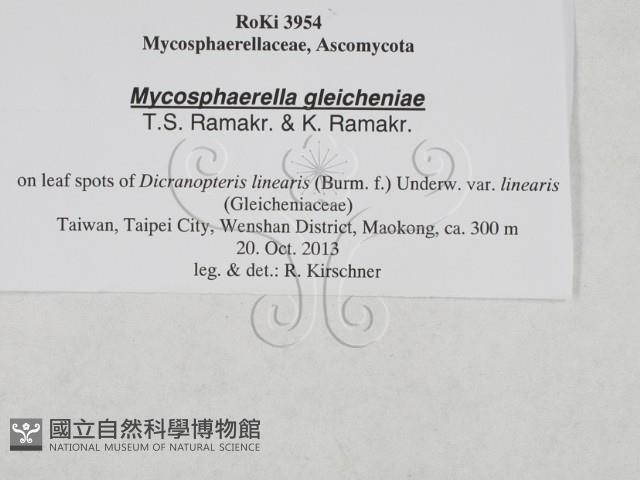 登錄號:F0027893藏品圖，第3張
