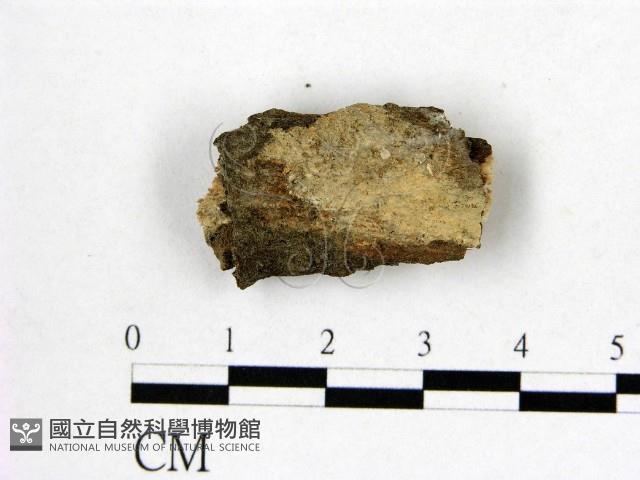 登錄號:F0009893藏品圖，第1張