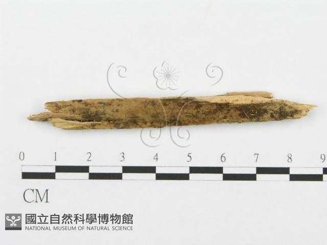 登錄號:F0004993藏品圖，第1張