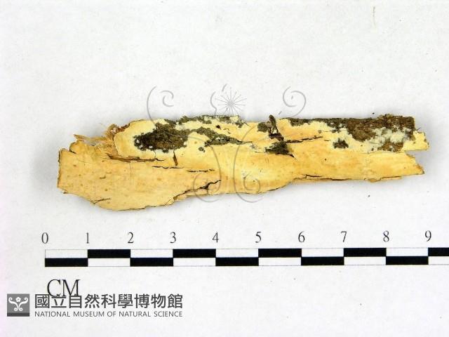 登錄號:F0014693藏品圖，第1張