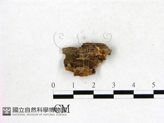 登錄號:F0022693藏品圖，第1張