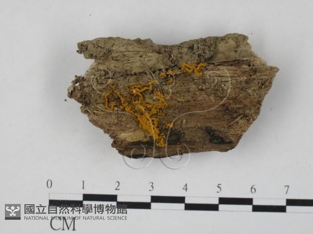 登錄號:F0007693藏品圖，第1張