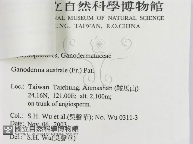 登錄號:F0015693藏品圖，第3張