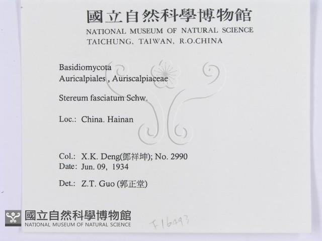登錄號:F0016493藏品圖，第3張