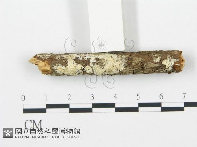 登錄號:F0001493藏品圖，第1張
