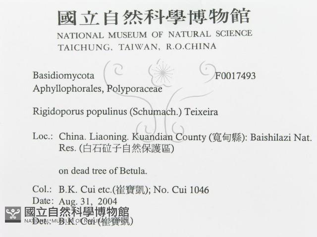 登錄號:F0017493藏品圖，第3張