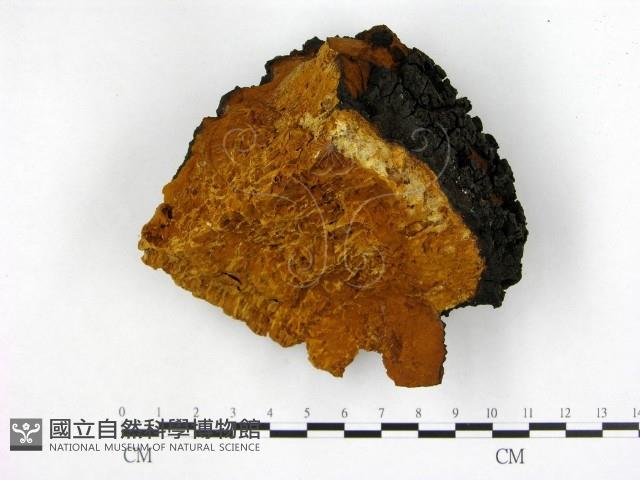 登錄號:F0018793藏品圖，第1張
