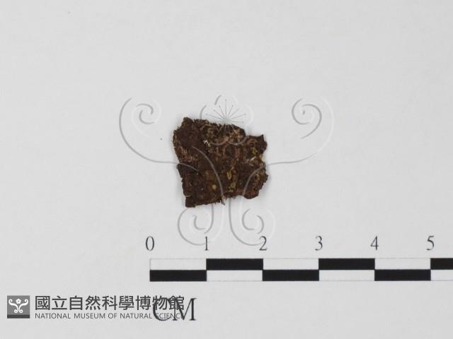 登錄號:F0020793藏品圖，第1張