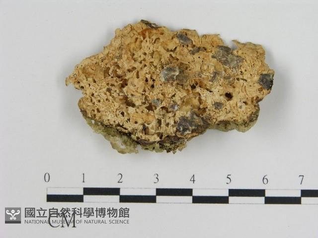 登錄號:F0010793藏品圖，第1張
