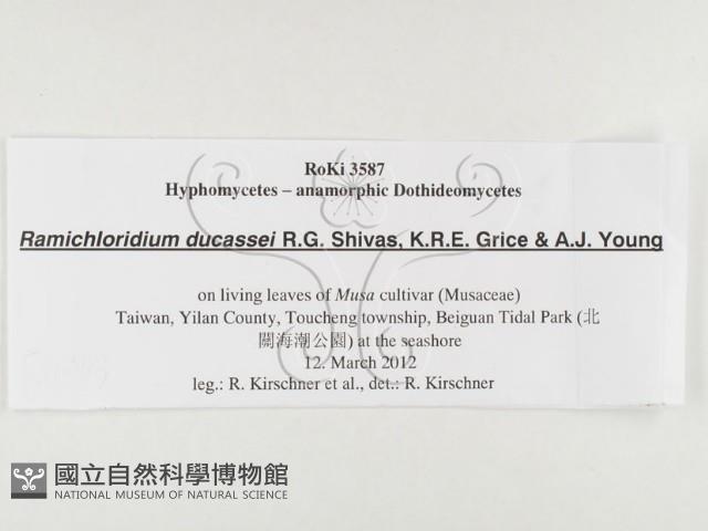 登錄號:F0026793藏品圖，第3張