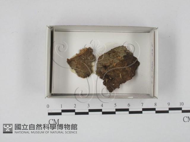 登錄號:F0018593藏品圖，第1張