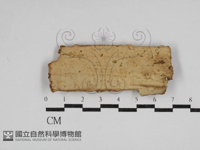 登錄號:F0030593藏品圖，第1張