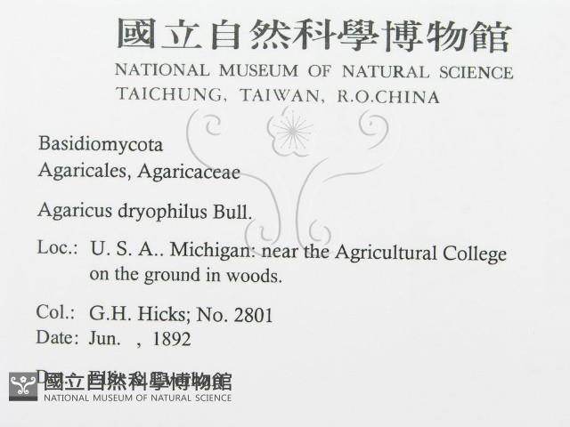 登錄號:F0011593藏品圖，第3張