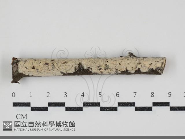 登錄號:F0034593藏品圖，第1張