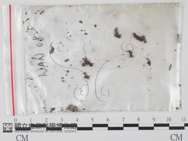 登錄號:F0002593藏品圖，第1張