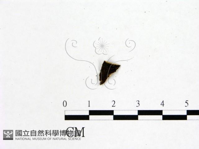 登錄號:F0019593藏品圖，第1張