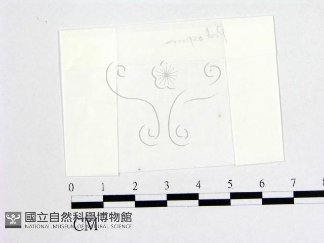 登錄號:F0000193藏品圖，第1張