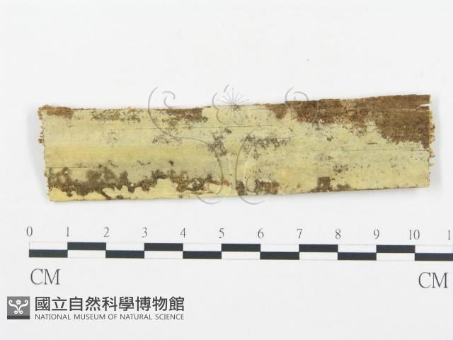 登錄號:F0010193藏品圖，第1張