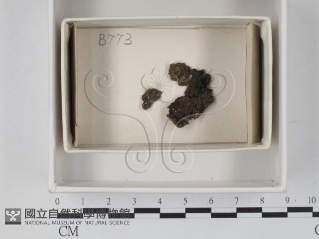 登錄號:F0021193藏品圖，第1張
