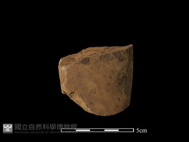 磨製斧鋤形器藏品圖，第1張