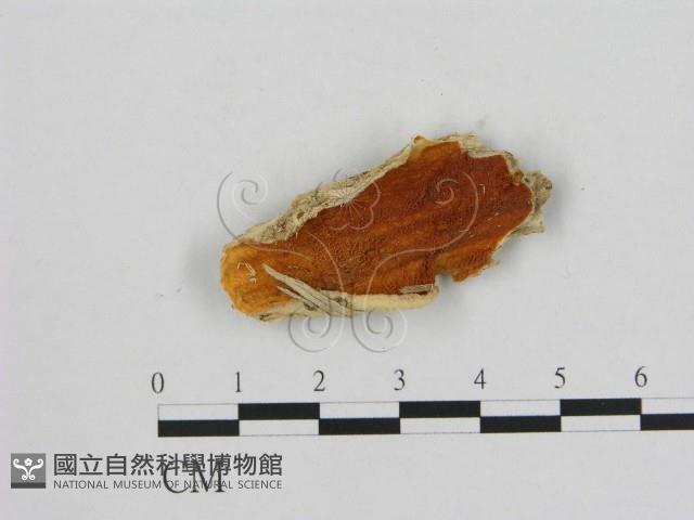 登錄號:F0007193藏品圖，第1張