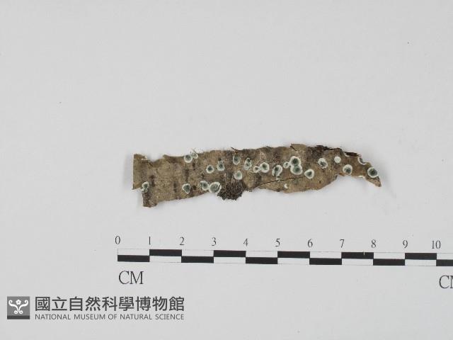 登錄號:F0017193藏品圖，第1張