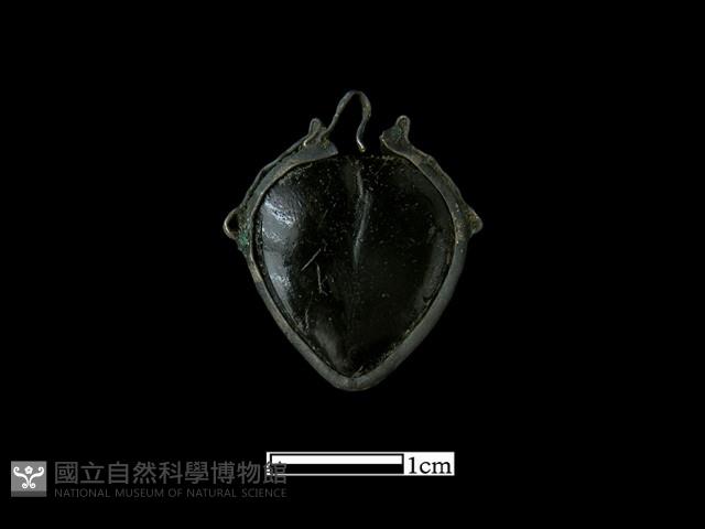 飾品藏品圖，第1張
