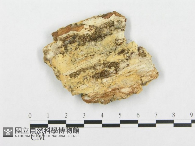 登錄號:F0007093藏品圖，第1張