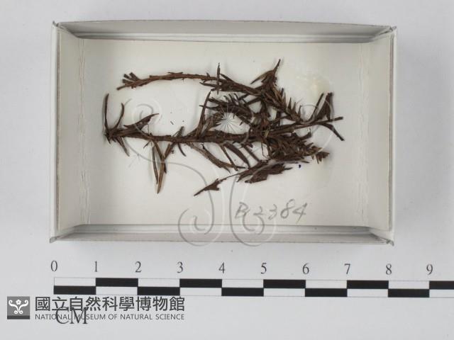 登錄號:F0019093藏品圖，第1張