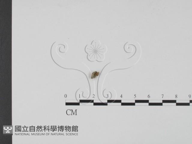 登錄號:F0003093藏品圖，第1張