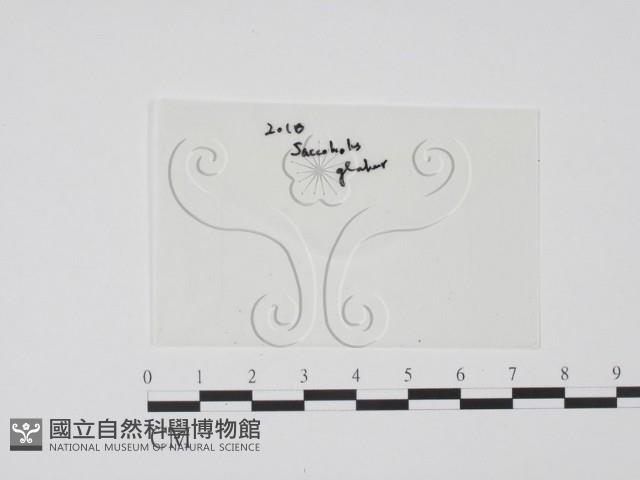 登錄號:F0010393藏品圖，第1張