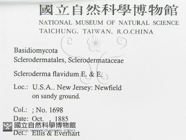 登錄號:F0011393藏品圖，第3張